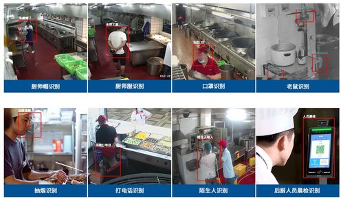 食品相關產品質量安全監管新規正式實施,亞略特積極響應政策助力食品安全監管